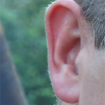 Ohren mit Türen