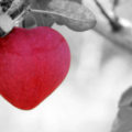 Love is in the air